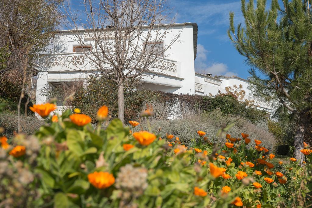 La Oveja Verde De La Alpujarra Питрес Экстерьер фото